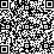 老爹汉堡店手机版