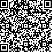多人街头格斗2(Street Fighting 2: Multiplayer)