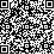 波克城市ios苹果版