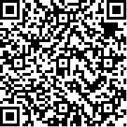 尼尔reincarnation中文版