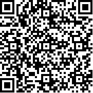 R2M重燃战火搬砖版
