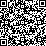 袖珍突袭(Pocket Raid)