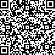 全面战斗模拟正版