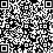 DX极狐模拟器