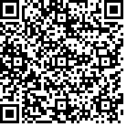 不可能的空中汽车特技
