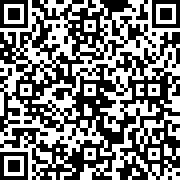 3D像素格斗