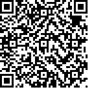 格斗双截龙正宗版