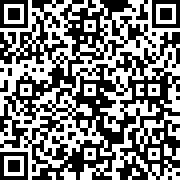 雪人兄弟手机版