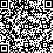 汽车战斗竞技场