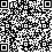 柠檬游乐场正版