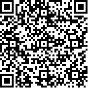 柠檬游乐场中文版