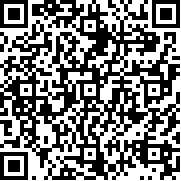 布娃娃勇士格斗