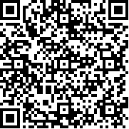 都市大亨物语debug版