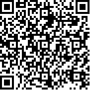 装甲联队online海战版