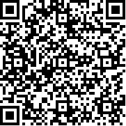 勇敢的哈克锁链的回响版本