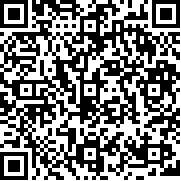 飞行火柴人英雄战斗