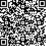 大闪英雄拯救城市(superhero fighting)