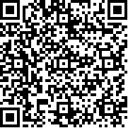 炸弹袭击冒险(Bomb Hit Adventure)