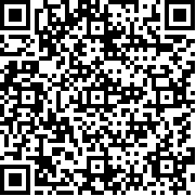 边境检察官手机版中文版