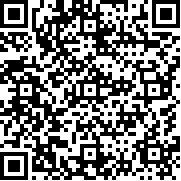 幸存者岛屿中文版