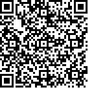 浣熊冒险模拟器(Raccoon Adventure City Simulator)