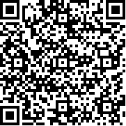 口袋妖怪蛋白石汉化版