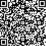 最后的忍者中文版