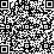 浣熊不高兴游戏