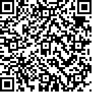 乐高忍者浪人之影