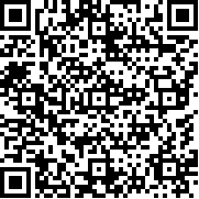 愤怒的小鸟变形金刚2023最新版