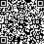 rs开放世界驾驶游戏官方版(Drive.RS)
