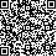 雪人兄弟小游戏