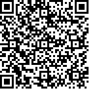 雪人兄弟官方正版