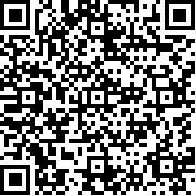 霍普先生的玩具屋中文版