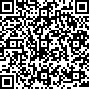 口袋妖怪火箭队