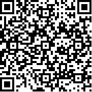 开罗拉面店debug版