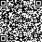 口袋妖怪燃火作弊版