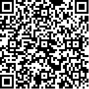 英雄围攻袖珍版