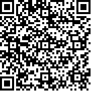勇者斗恶龙5安卓汉化版