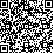 火柴侠绳索飞人