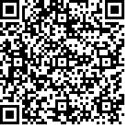 随机空间汉化版