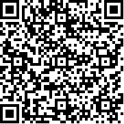 暴走都市英雄乱斗游戏