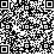 车祸模拟器beamng手游版
