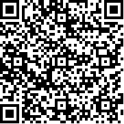 鸽子的冒险(Pigeon)