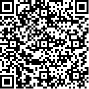 兄弟一起向前冲手游