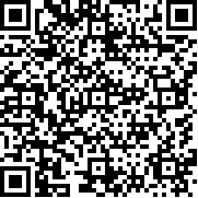 终极灰狼模拟器手机版