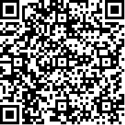 火柴人布娃娃游乐场加载模组