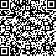 寻找伪人中文版