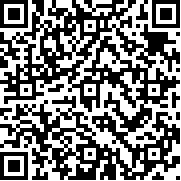 火柴人警察城市