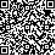 拥挤城市大乱斗